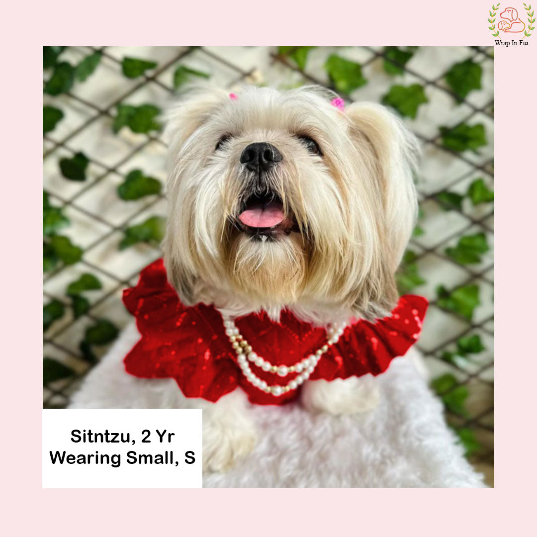 Red Golden Dog Lehenga – Bridal Dog Wedding Dress Outfit