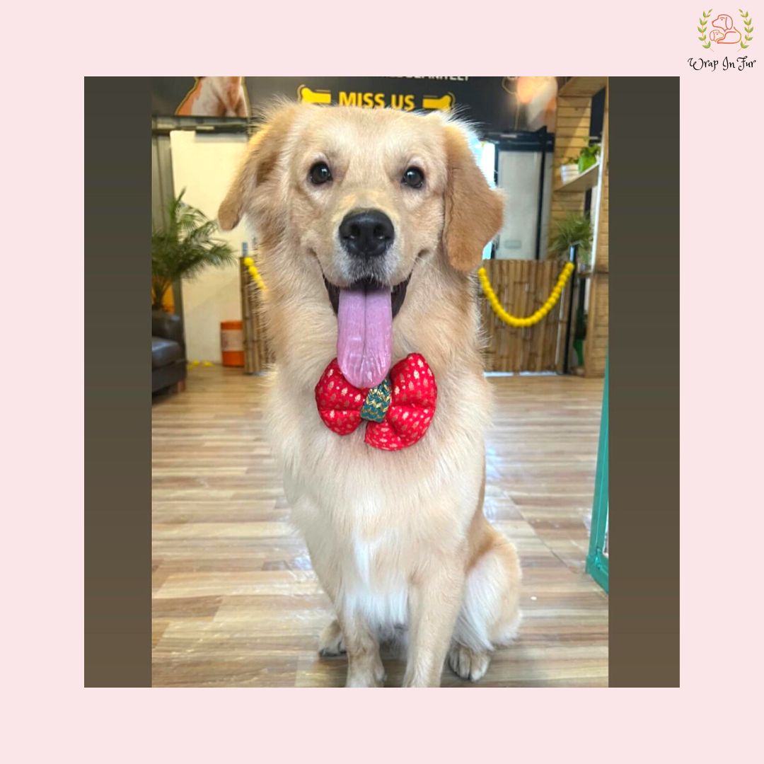 Red Golden Festive Bow - Luxury Brocade Dog Hair Bow Accessory