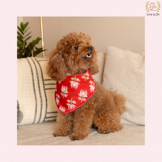 Red Lotus Desi Dog Bandana