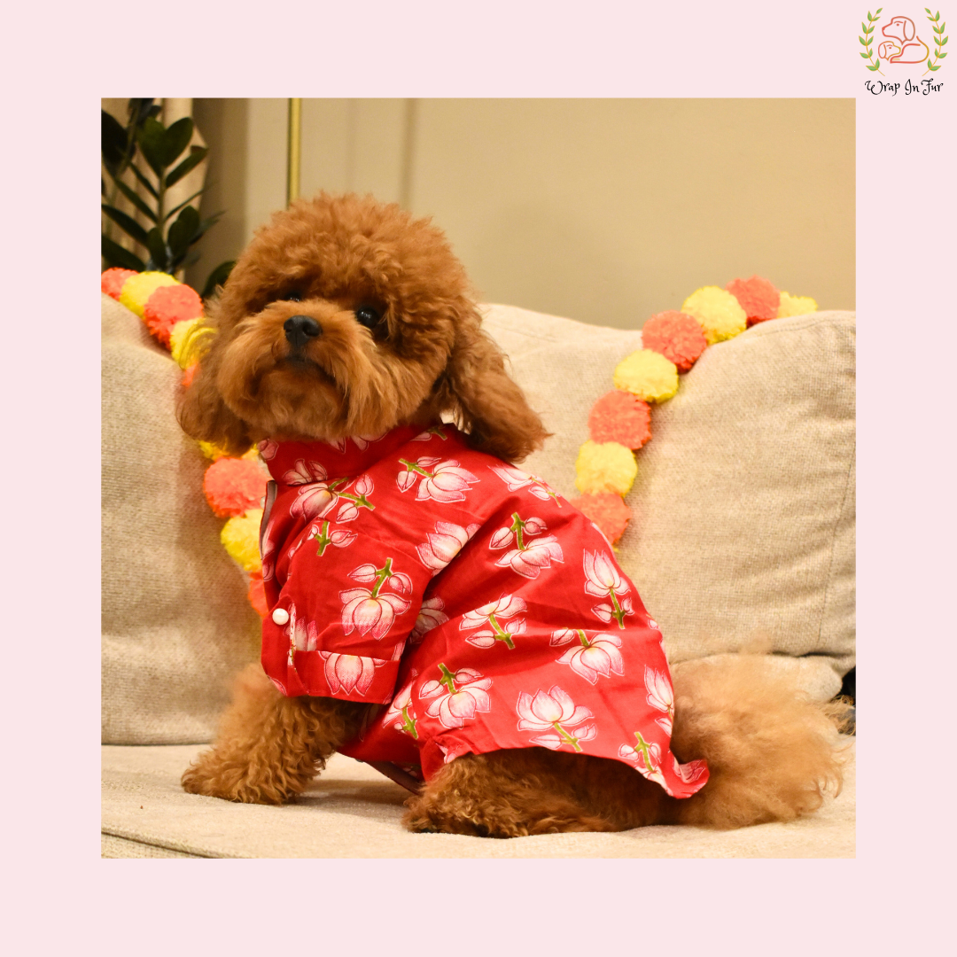 Red Lotus Dog Kurta - Vibrant Indian Dog Ethnic Wear Dress