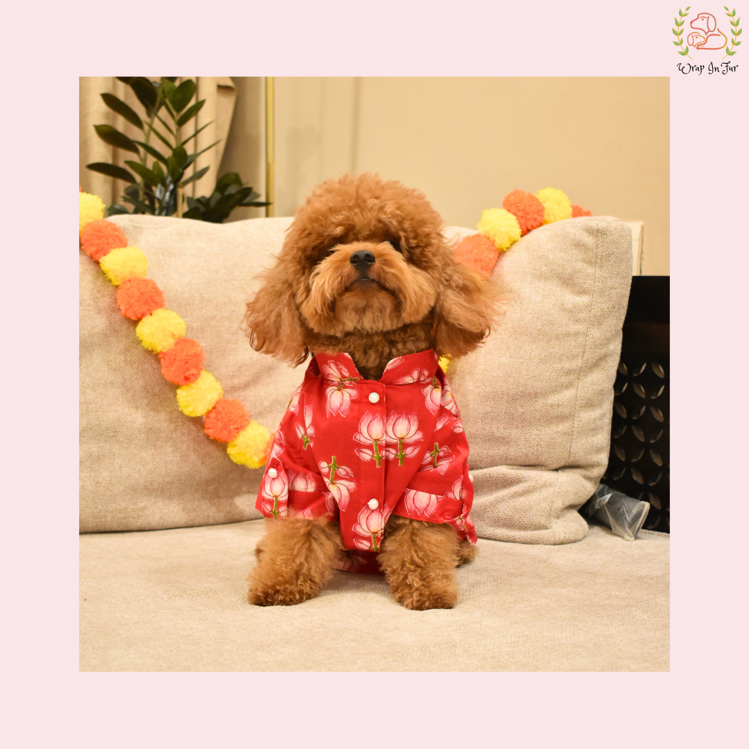 Red Lotus Dog Kurta - Vibrant Indian Dog Ethnic Wear Dress