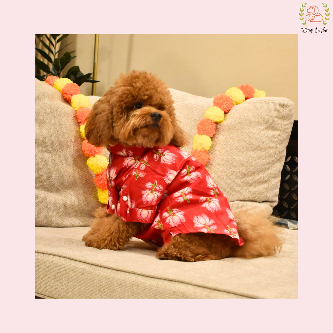 Red Lotus Dog Kurta - Vibrant Indian Dog Ethnic Wear Dress