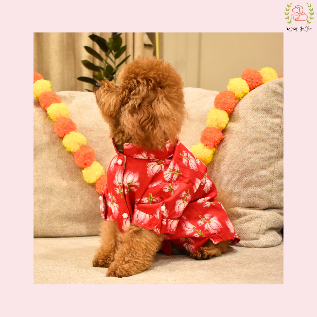Red Lotus Dog Kurta - Vibrant Indian Dog Ethnic Wear Dress