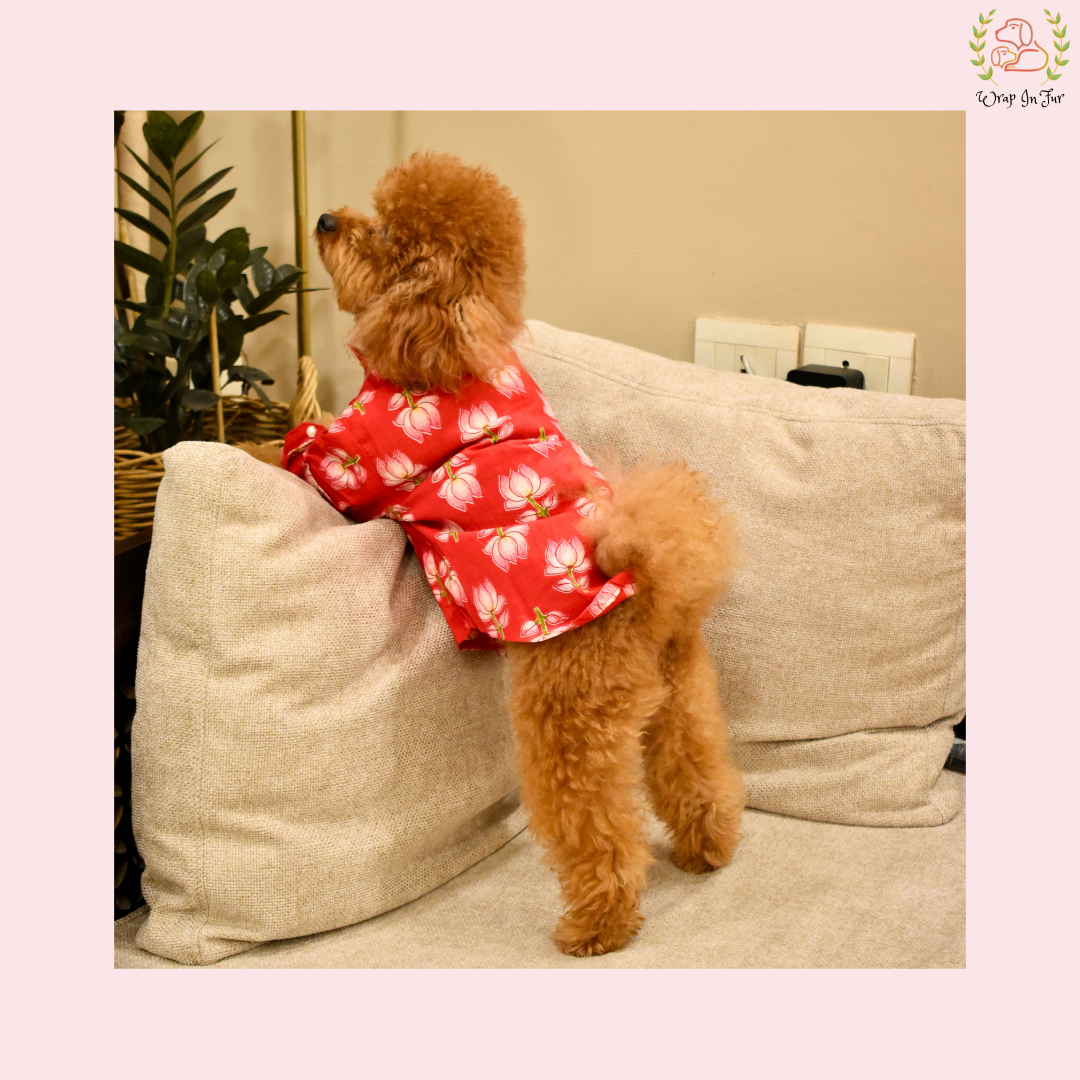 Red Lotus Dog Kurta - Vibrant Indian Dog Ethnic Wear Dress