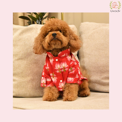 Red Lotus Dog Kurta - Vibrant Indian Dog Ethnic Wear Dress