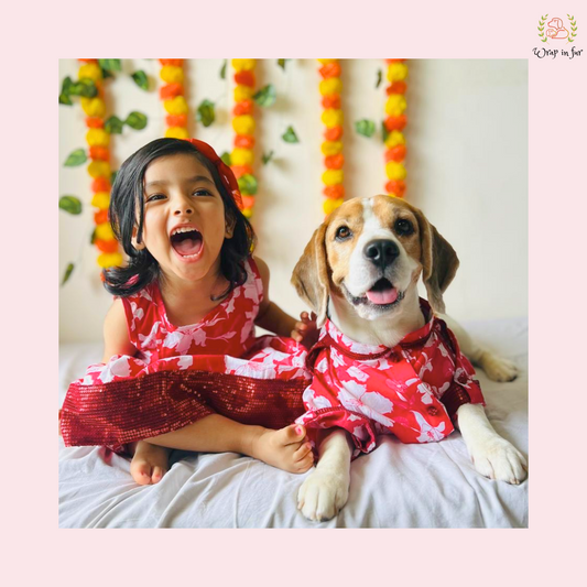 Red Pathani Dog Kurta & Girl Frock Twinning Set - Indian Dog Ethnic Wear