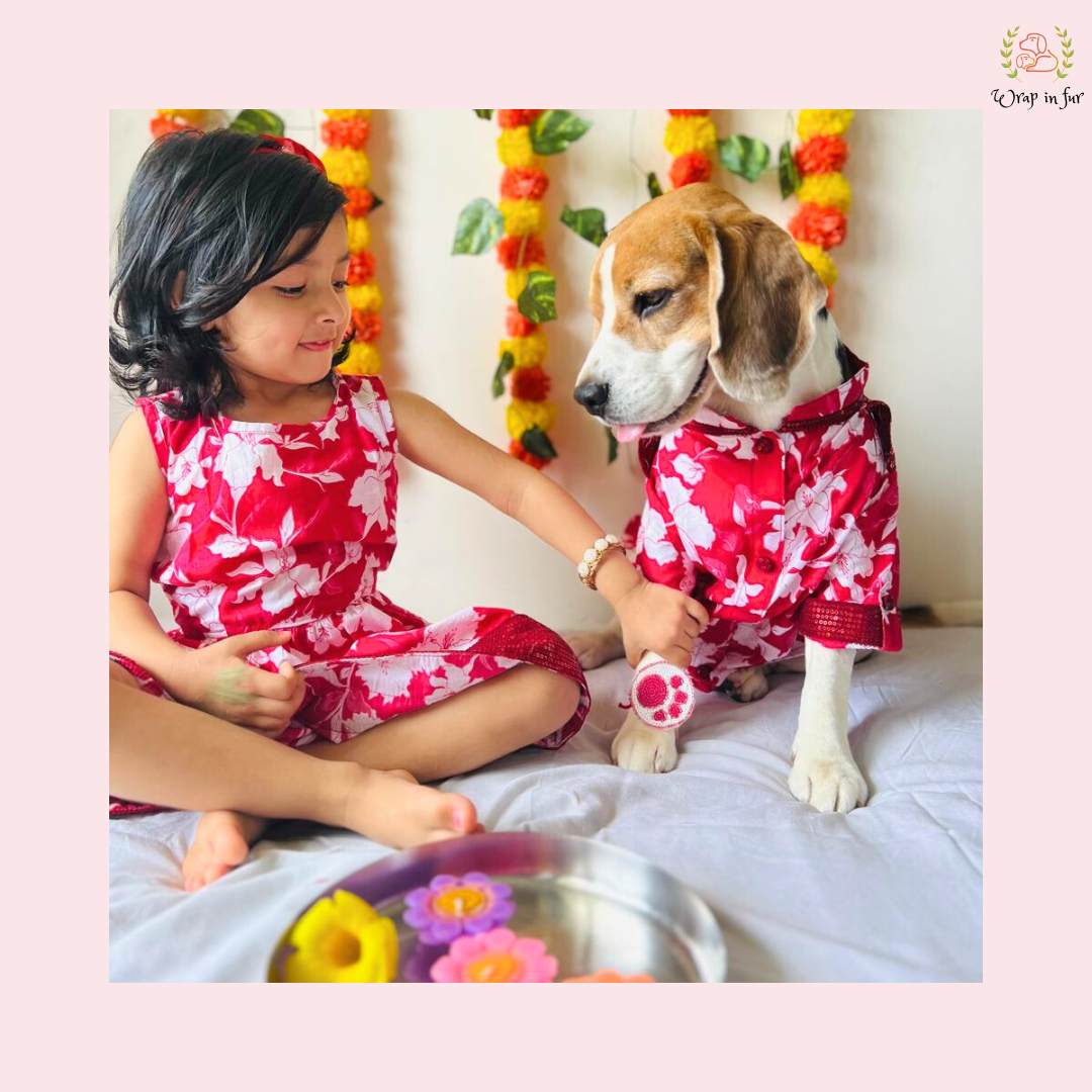 Red Pathani Dog Kurta & Girl Frock Twinning Set - Indian Dog Ethnic Wear