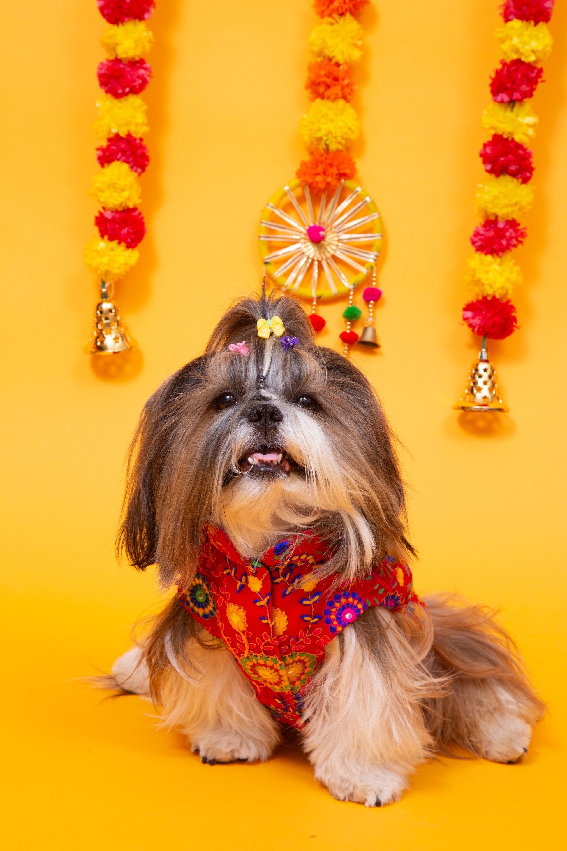 Red Phoolwari Dog Sherwani  - Royal Dog Wedding Outfit