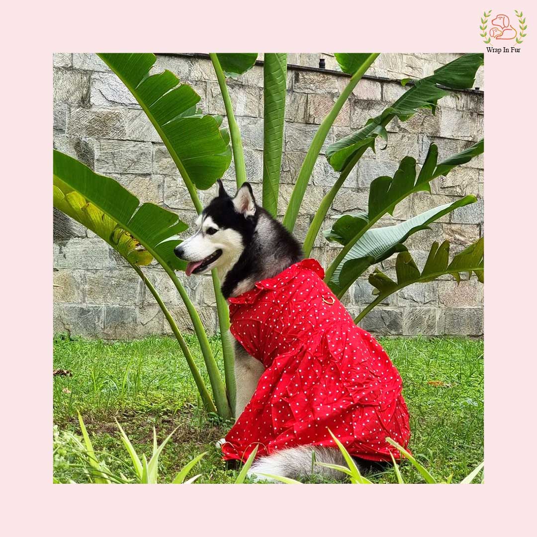 Red Polka Dot Dog Princess Dress - Casual Ruffle Sun Frock