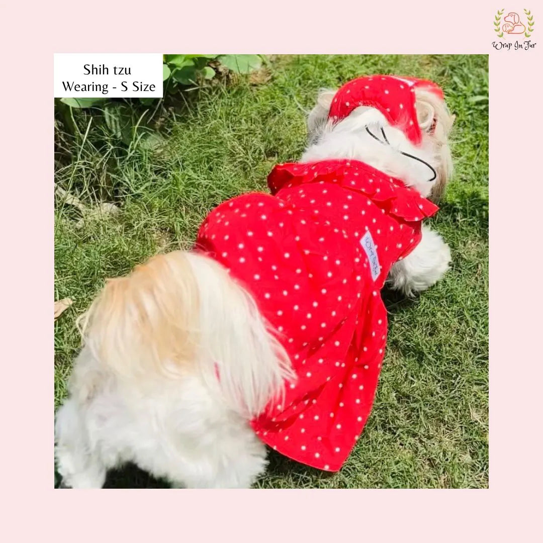 Red Polka Dot Dog Princess Dress - Casual Ruffle Sun Frock