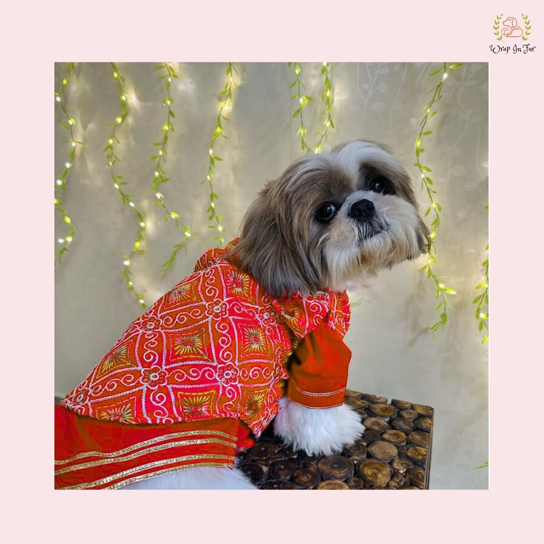 Red Resham Gota Dog Kurta Jacket Set - Traditional Indian Dog Ethnic Wear Dress