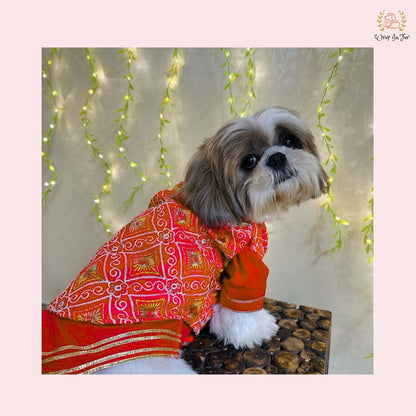 Red Resham Gota Dog Kurta Jacket Set - Traditional Indian Dog Ethnic Wear Dress