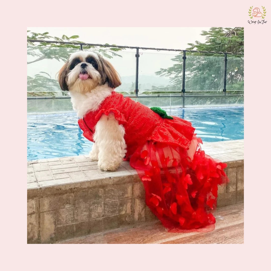Red Ruffle Dog Gown – Luxury Dog Wedding Dress