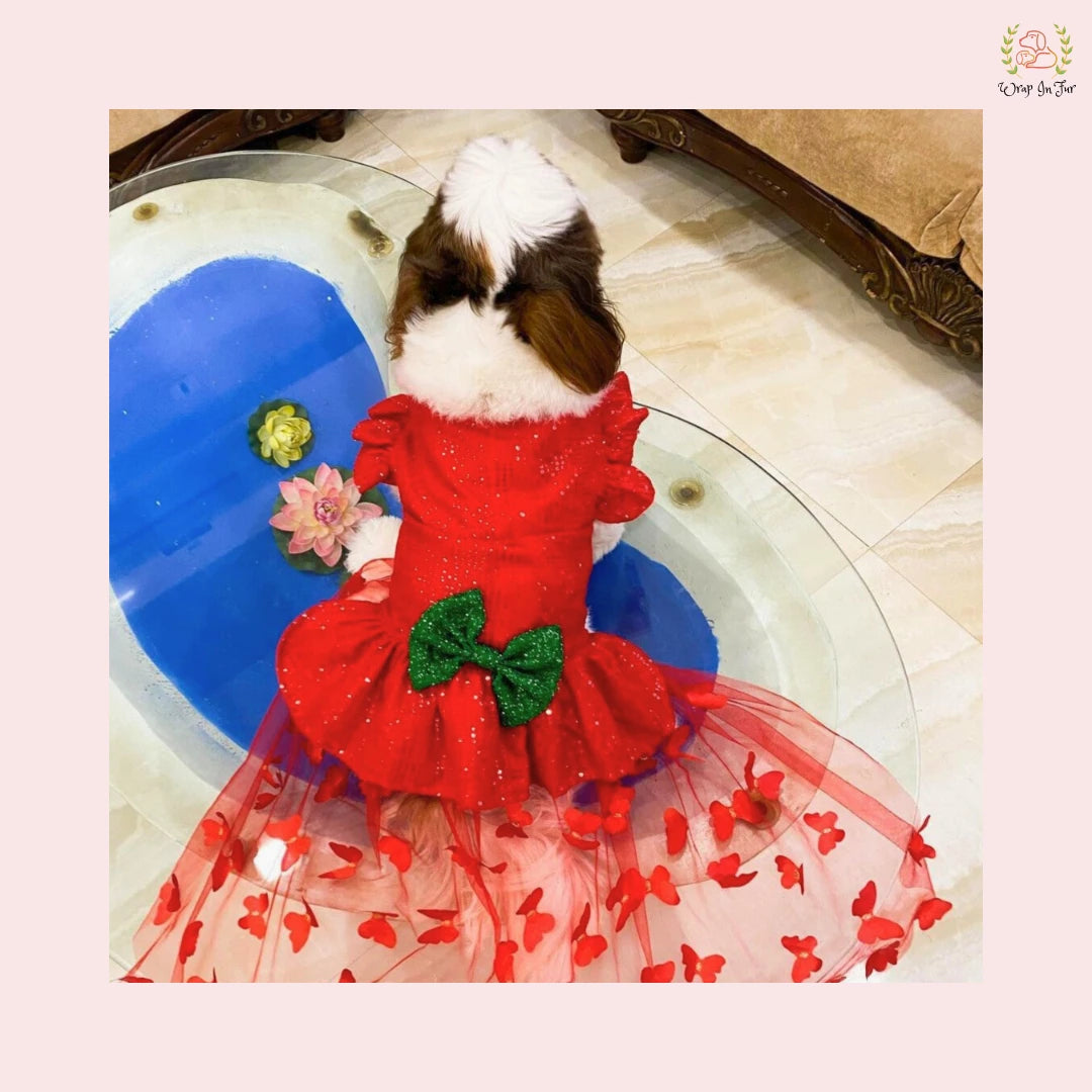 Red Ruffle Dog Gown Red Ruffle Dog Gown