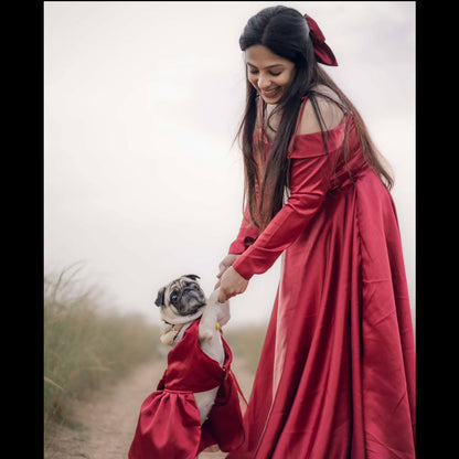 Red Satin Dog Frock