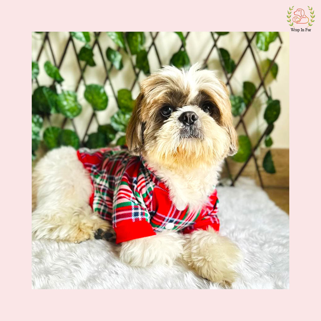 Red Scottish Plaid Winter Pet Hoodie – Warm & Stylish Dog Winter Wear
