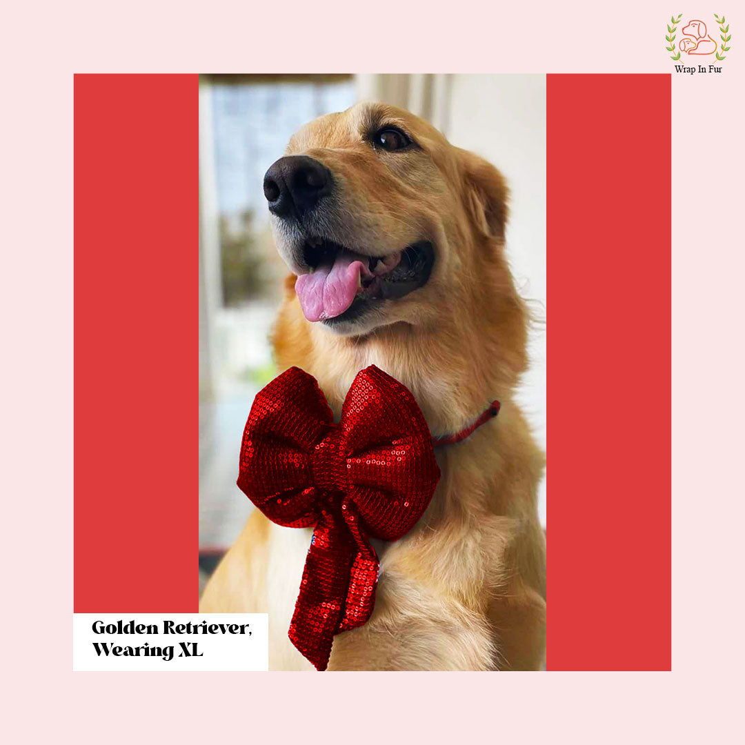 Red Sequin Dog Bow - Sparkly Christmas Dog Accessory for Pets