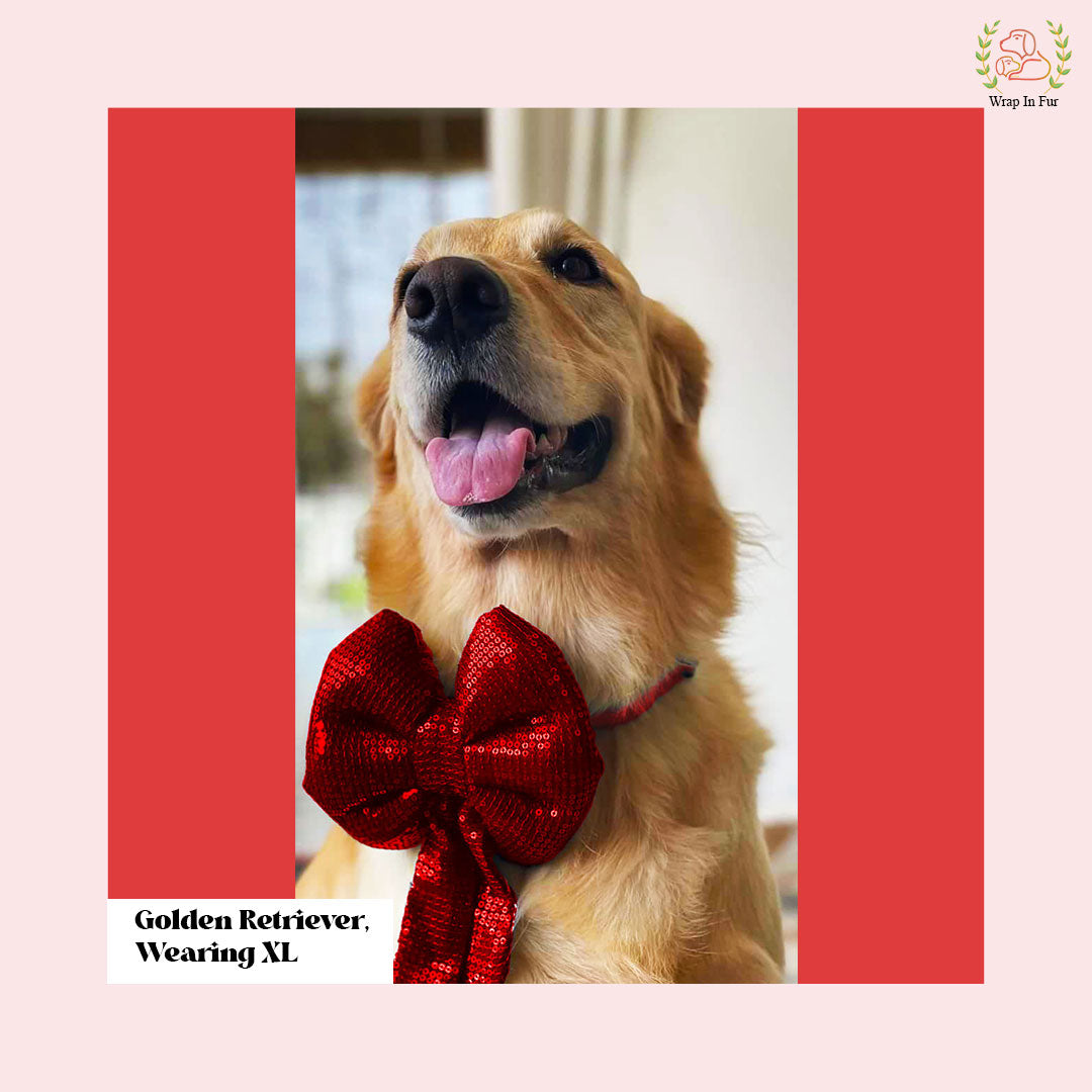 Red Sequin Dog Bow - Sparkly Christmas Dog Accessory for Pets