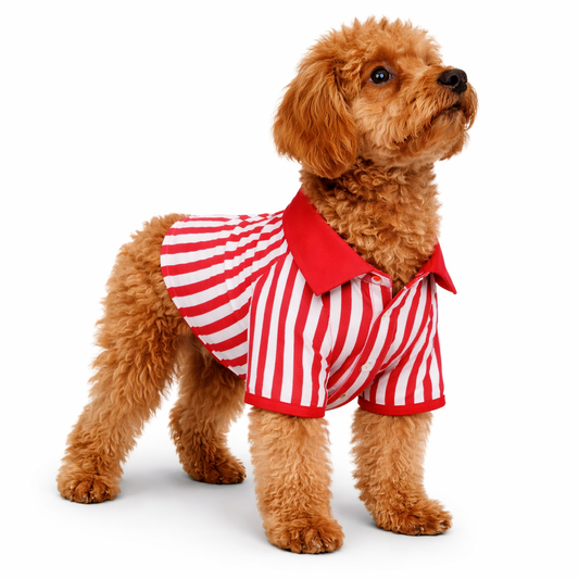 Red Stripe Dog Shirt