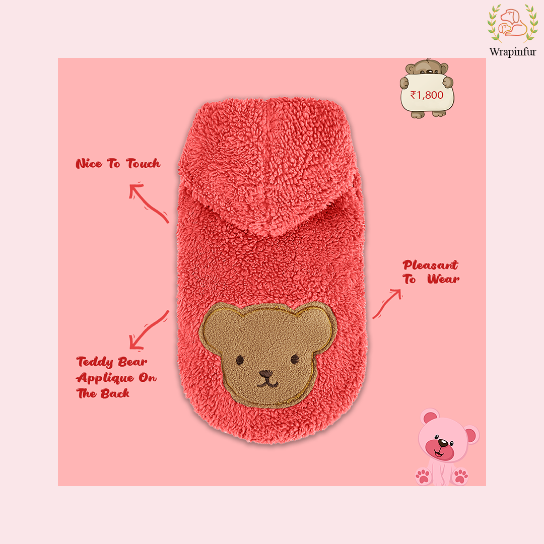 Red Teddy Dog Hoodie – Ultra Soft Winter Wear for Dogs