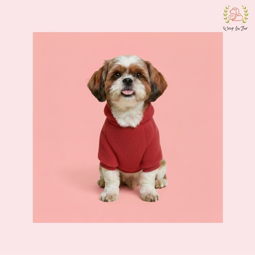 Red Teddy Dog Hoodie – Ultra Soft Winter Wear for Dogs