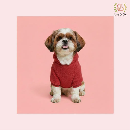 Red Teddy Dog Hoodie – Ultra Soft Winter Wear for Dogs