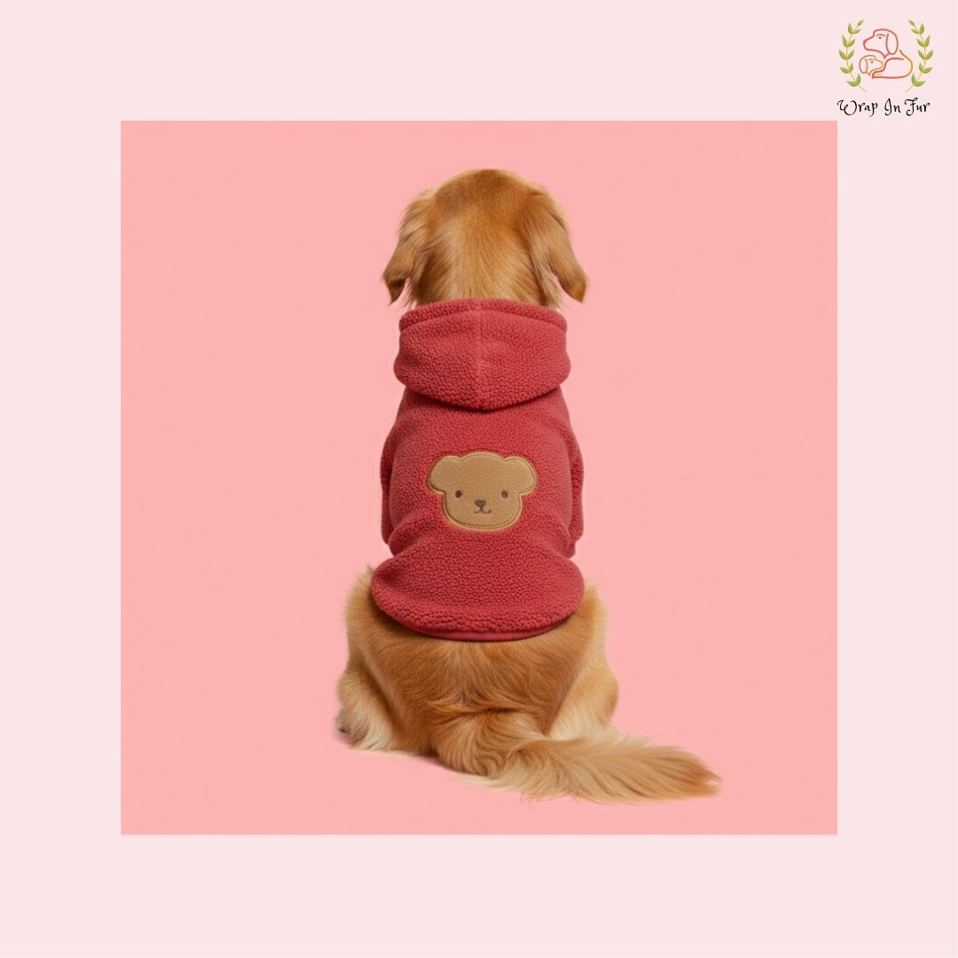 Red Teddy Dog Hoodie – Ultra Soft Winter Wear for Dogs