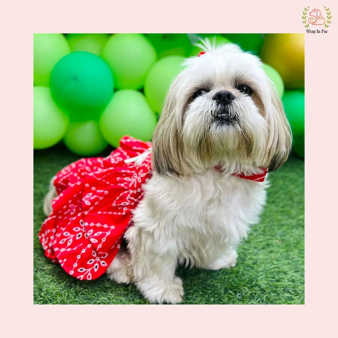 Red Tiered Ruffle Dog Princess Dress - Festive Wedding Party Frock