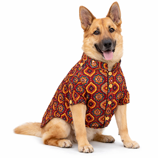 Red Traditional Block Print Dog Kurta