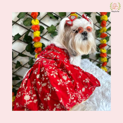 Red Velvet Dog Lehenga Choli – Luxury Dog Wedding Dress Outfit