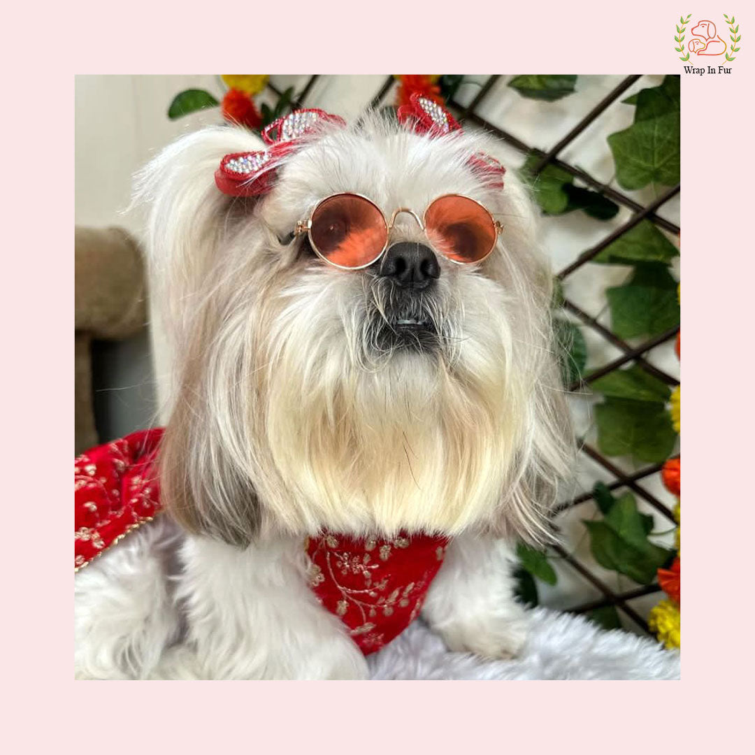 Red Velvet Dog Lehenga Choli – Luxury Dog Wedding Dress Outfit