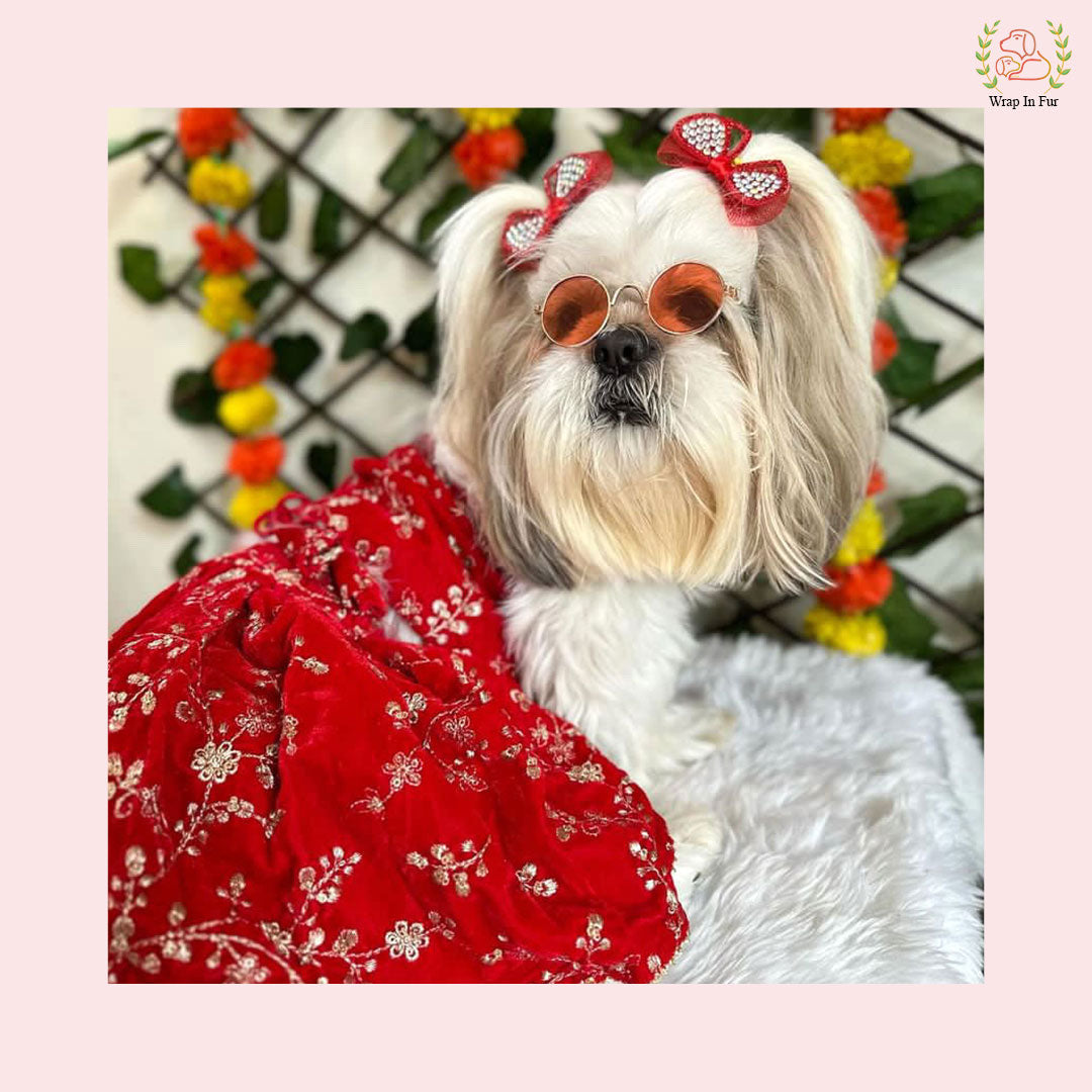 Red Velvet Dog Lehenga Choli – Luxury Dog Wedding Dress Outfit