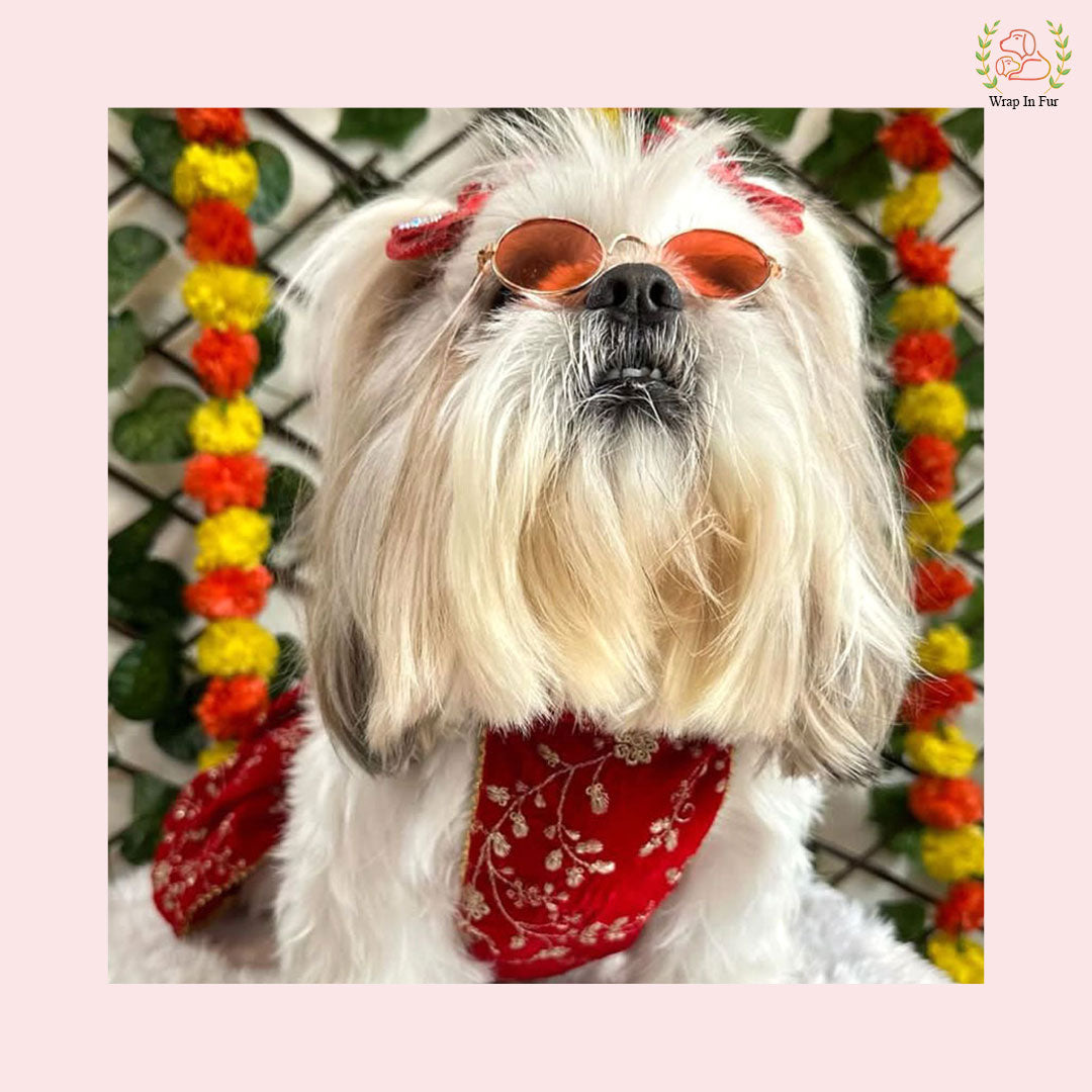 Red Velvet Dog Lehenga Choli – Luxury Dog Wedding Dress Outfit