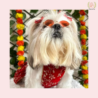 Red Velvet Dog Lehenga Choli – Luxury Dog Wedding Dress Outfit