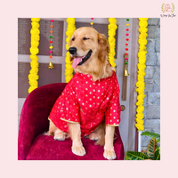 Red Dog Sherwani