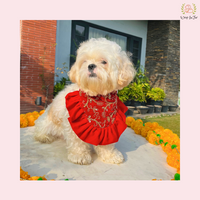 Red Velvet Festive Dog Bandana