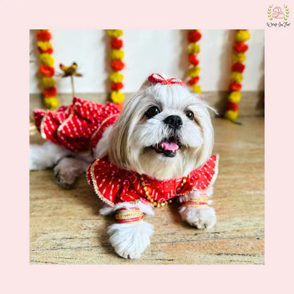 red cotton dog lehenga choli for small dog