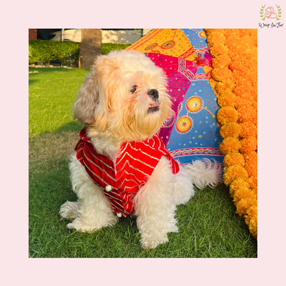 Red Golden Sherwani