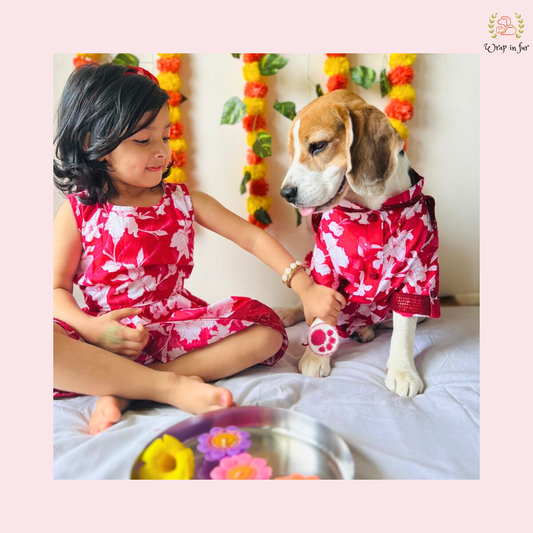 Red Pathani Dog Kurta