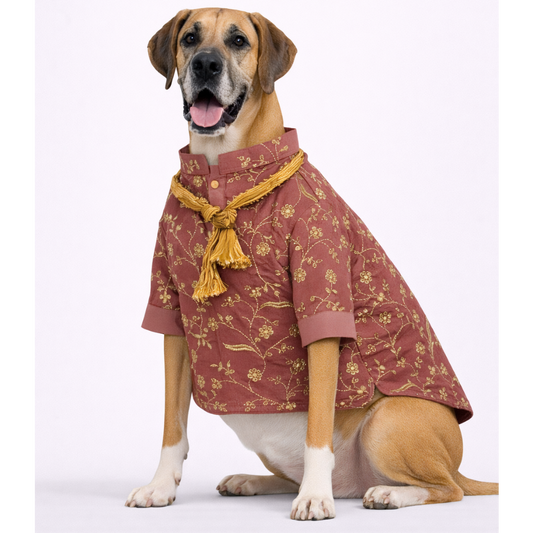 Rosy Brown Embroidered Dog Kurta