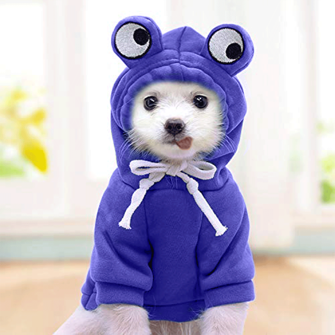 Blue Froggy Hoodie