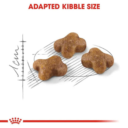 Royal Canin Kitten Cat Dry Food