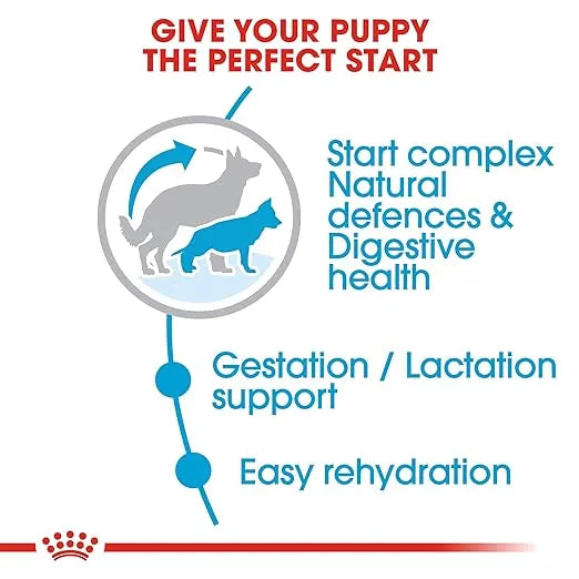 Royal Canin Maxi Starter Dog Dry Food