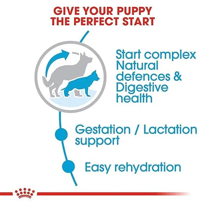 Royal Canin Maxi Starter Dog Dry Food