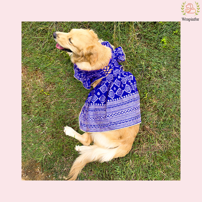 Royal Blue Dog Lehenga Choli Dress - Luxury Wedding Outfit