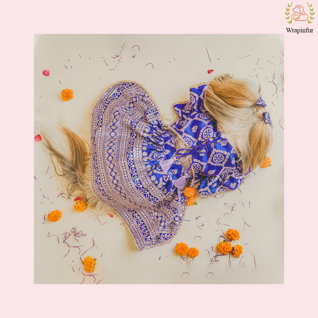 Royal Blue Dog Lehenga Choli Dress - Luxury Wedding Outfit