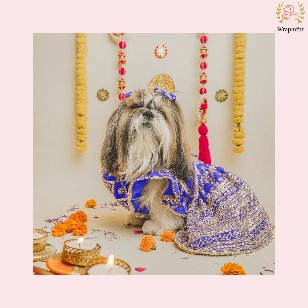 Royal Blue Dog Lehenga Choli Dress - Luxury Wedding Outfit