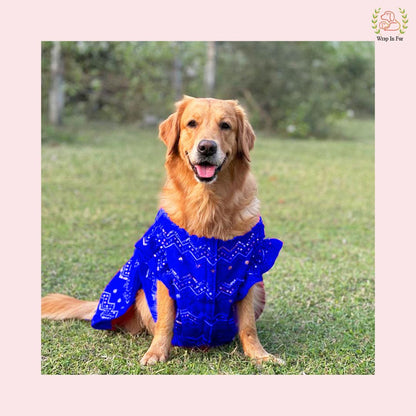 Royal Blue Dog Wedding Dress – Ethnic Lehenga Choli for Dogs