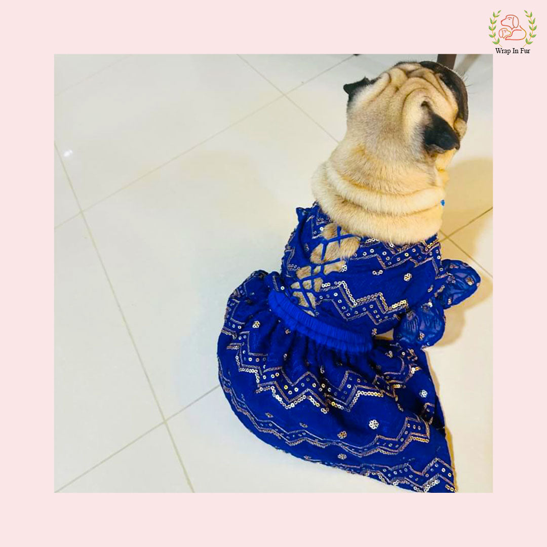 Royal Blue Dog Wedding Dress – Ethnic Lehenga Choli for Dogs