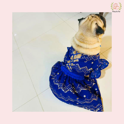 Royal Blue Dog Wedding Dress – Ethnic Lehenga Choli for Dogs